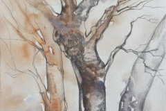 „Рисунка“, акварел, молив, хартия, 297/21 см., 2020 г.