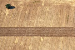 „Earth lines. 3“