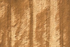 „Earth lines. 4“