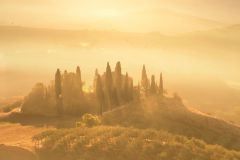 „The gold of Tuscany“